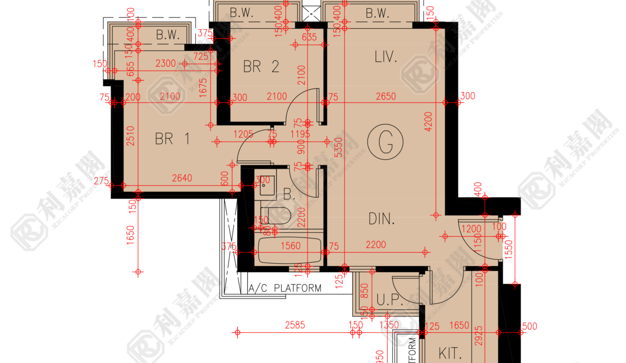 45624_2000_Ricacorp-1.png
