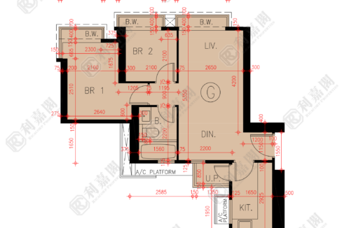 45624_2000_Ricacorp-1.png