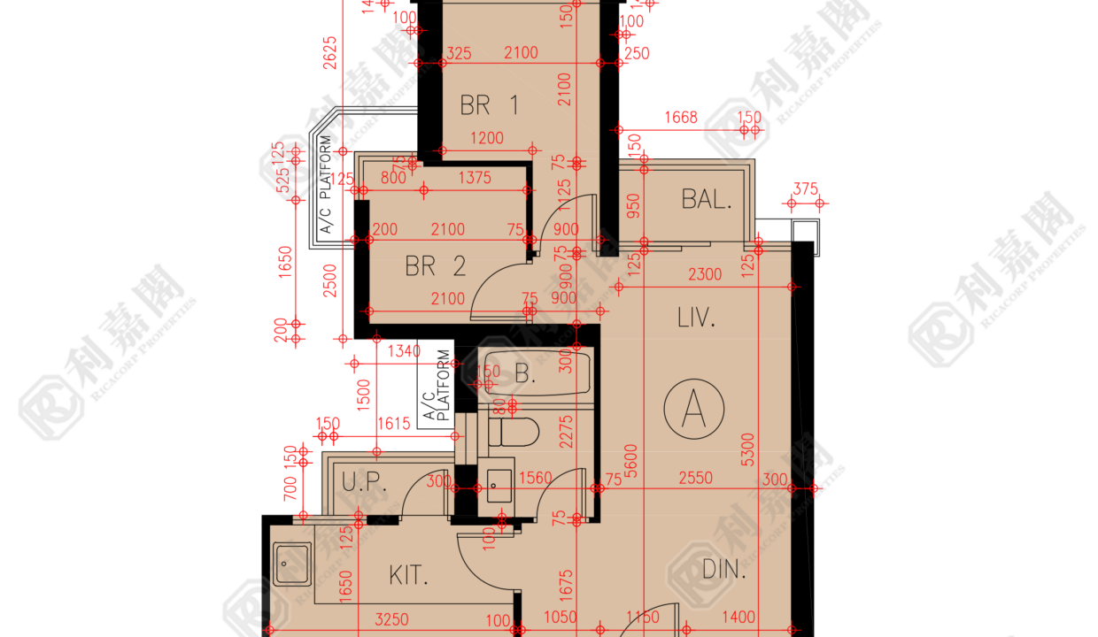 45635_2000_Ricacorp-1.png