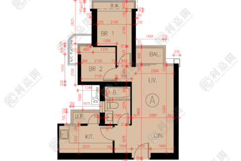 45635_2000_Ricacorp-1.png