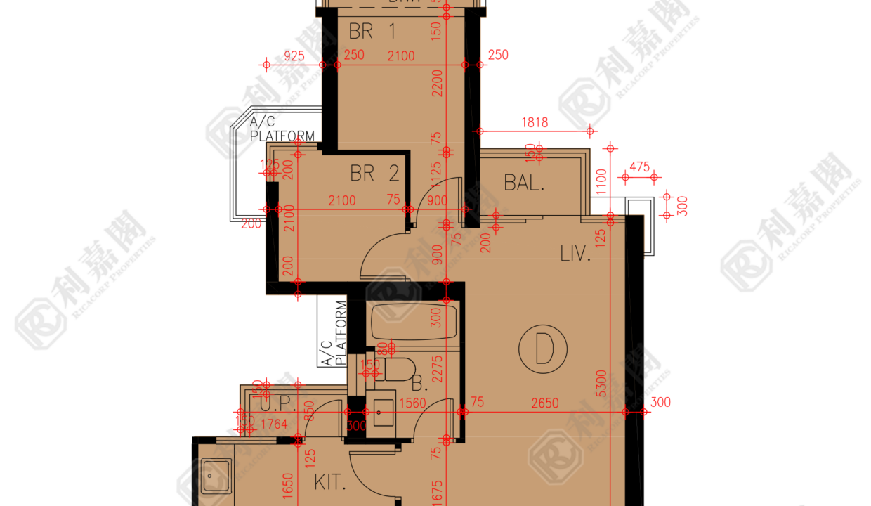 45702_2000_Ricacorp-1.png