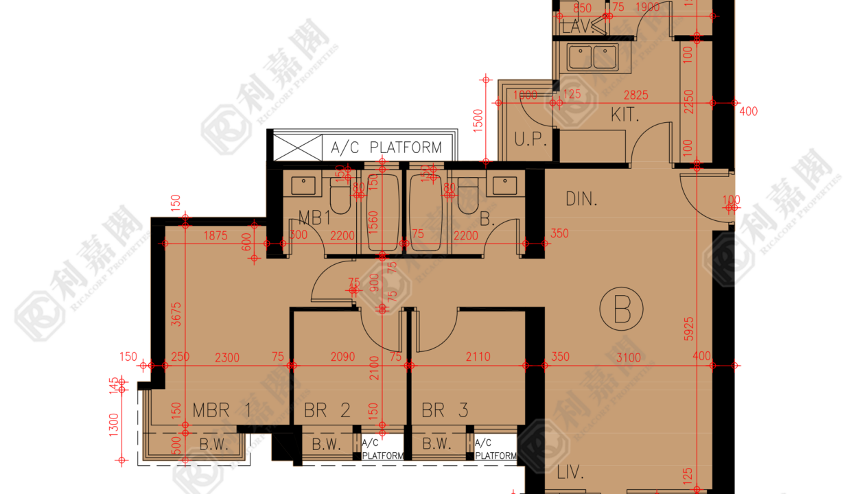 45737_2000_Ricacorp-4.png