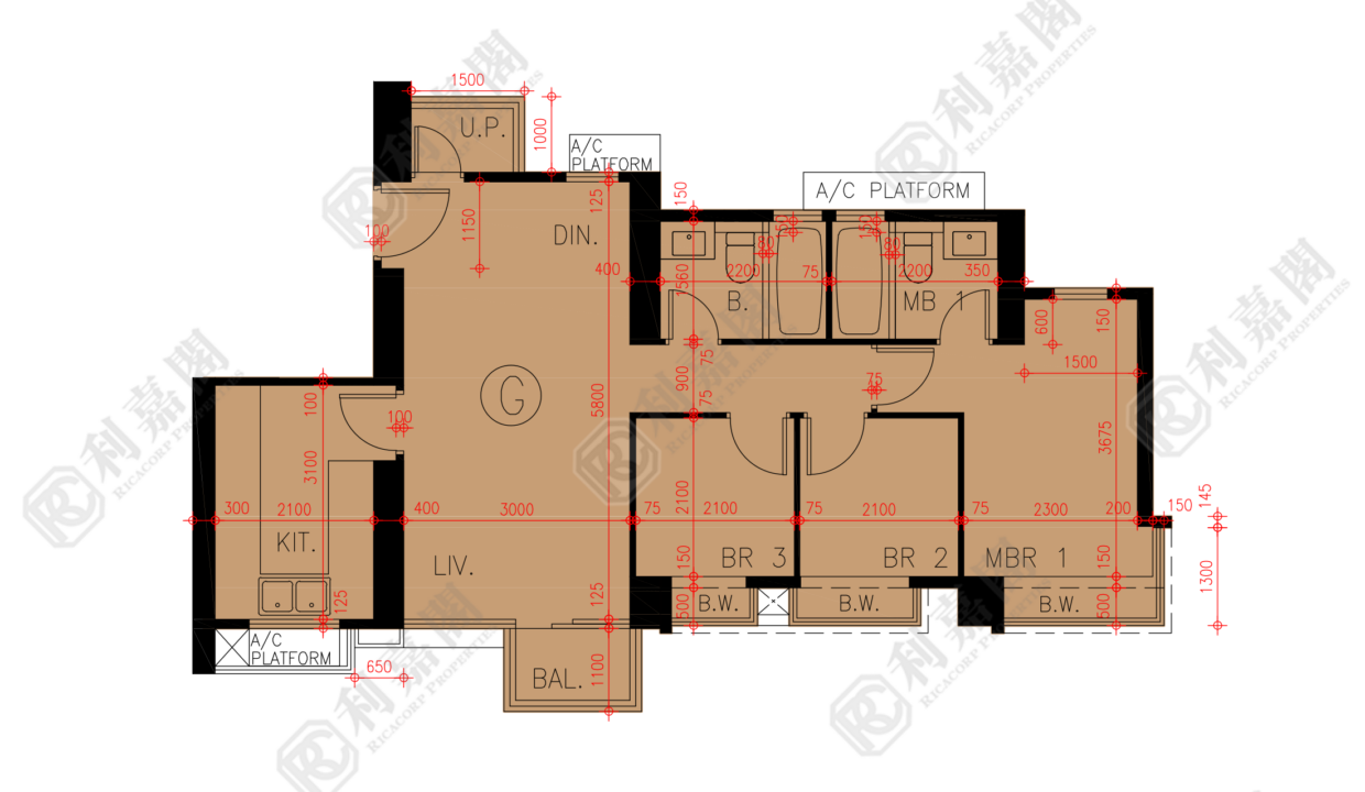 45777_2000_Ricacorp-1.png