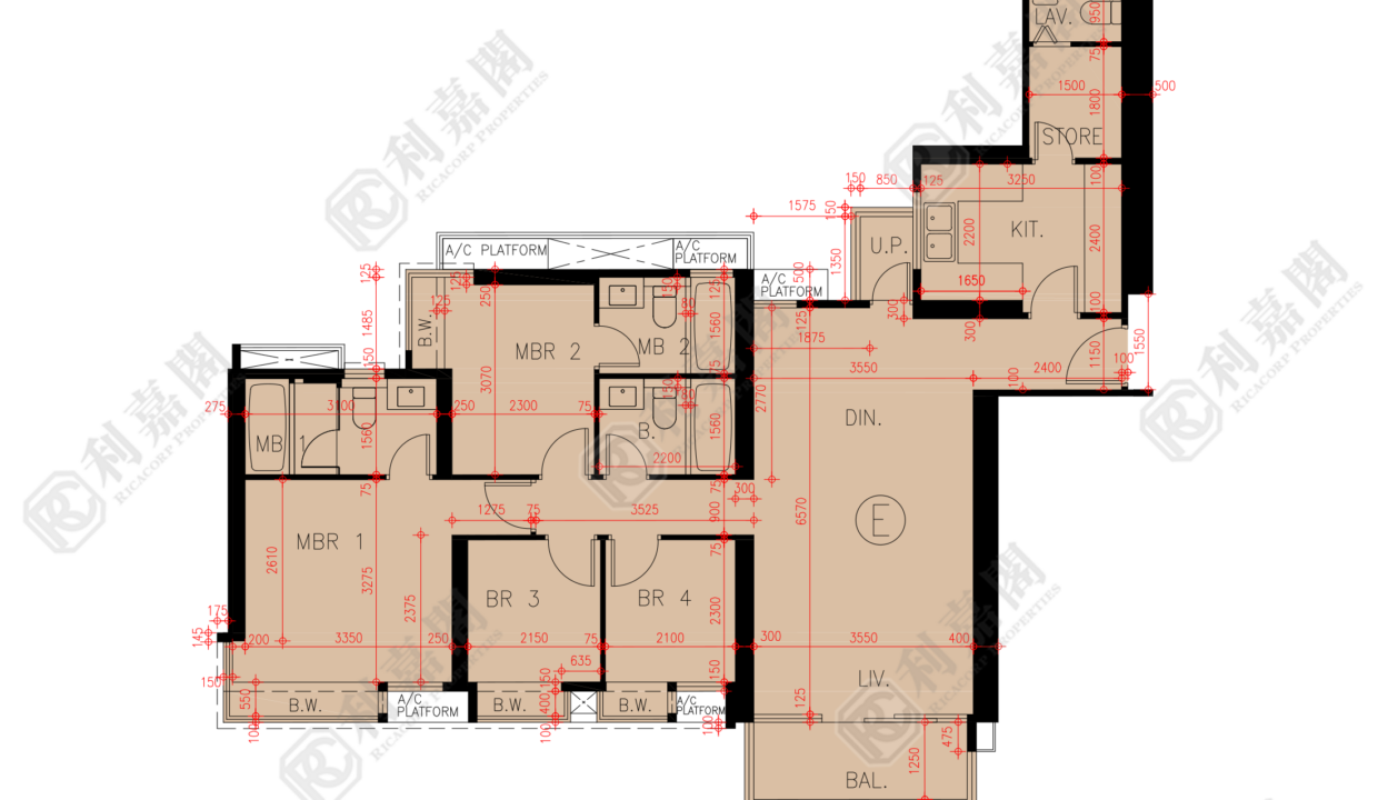 45813_2000_Ricacorp-3.png