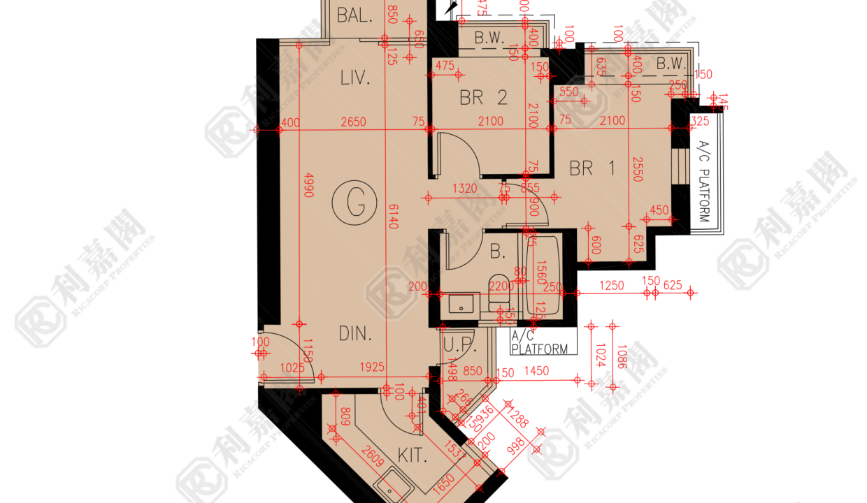 45876_2000_Ricacorp.png