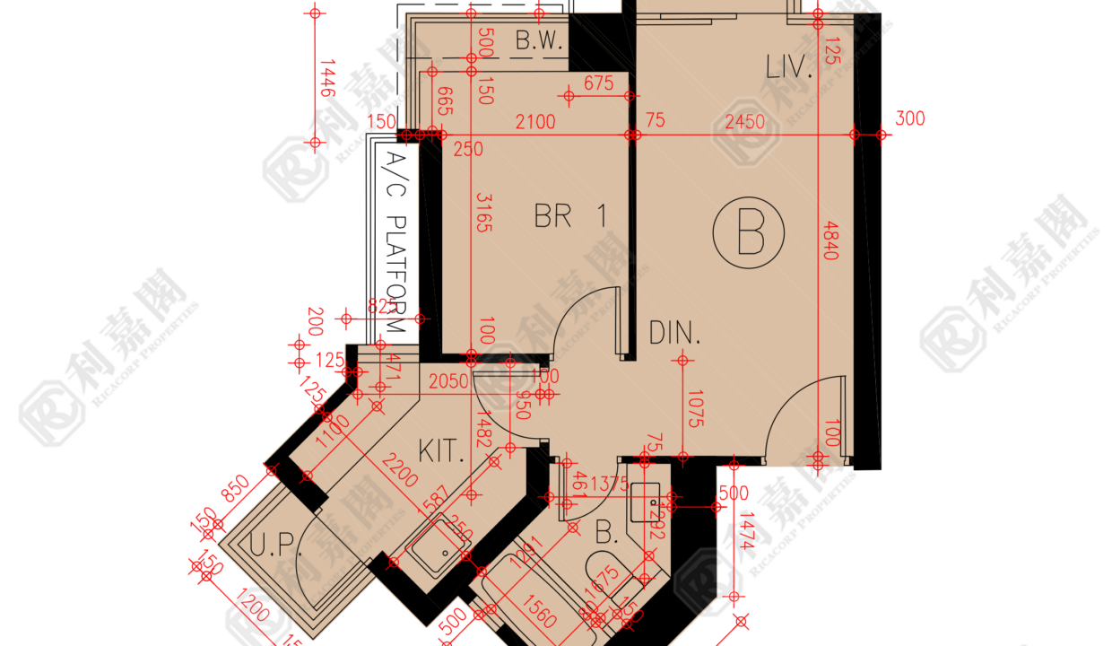 45891_2000_Ricacorp.png