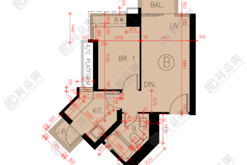 45891_2000_Ricacorp.png