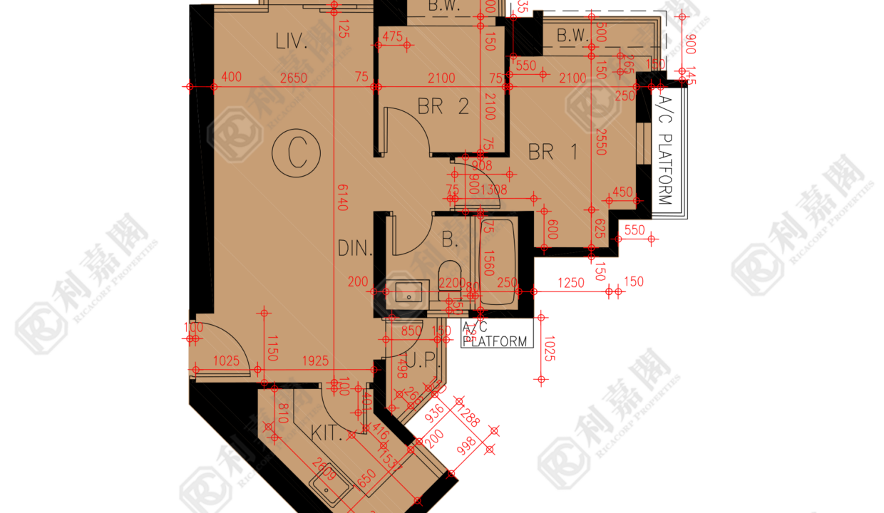 45899_2000_Ricacorp.png