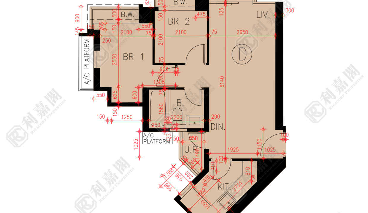 45909_2000_Ricacorp-1.png