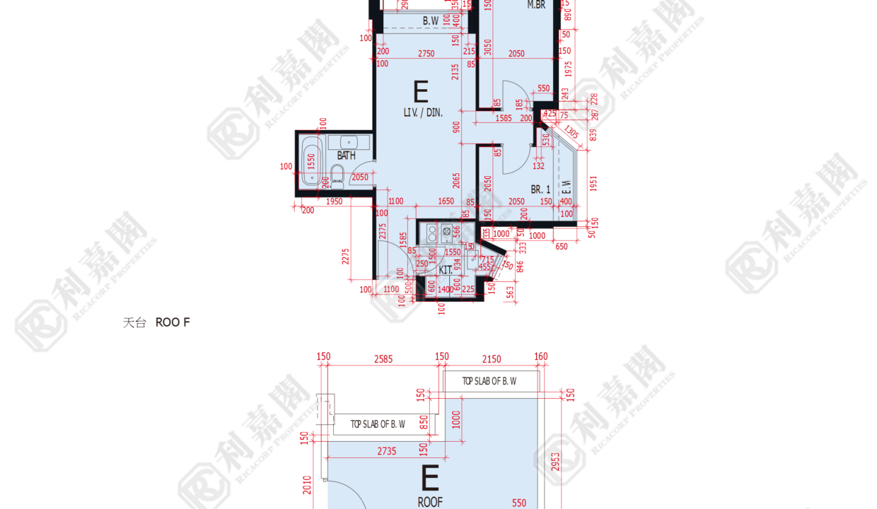 47649_2000_Ricacorp-2.png