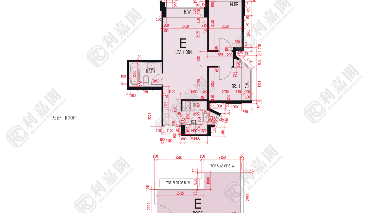 47669_2000_Ricacorp-1.png