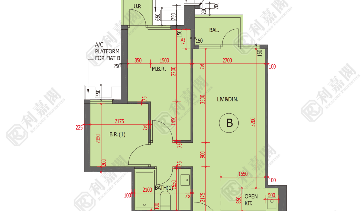 48986_2000_Ricacorp.png