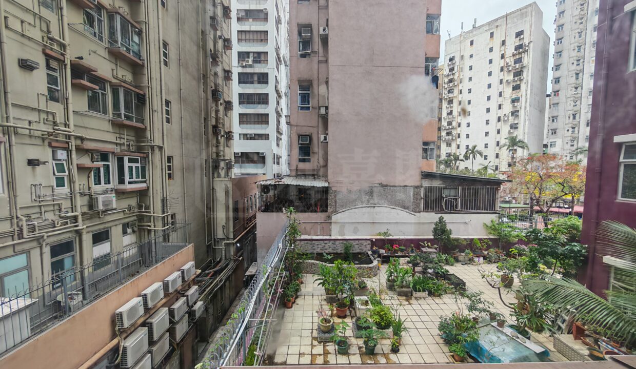 4c203d4c-3b81-4101-a4b6-9db236ea001f.jpeg