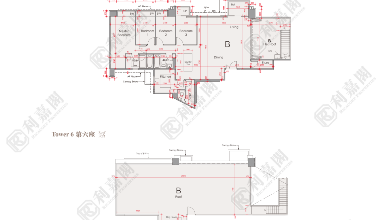 51487_2000_Ricacorp.png