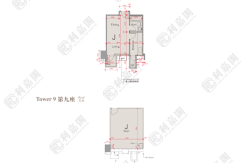 51551_2000_Ricacorp.png