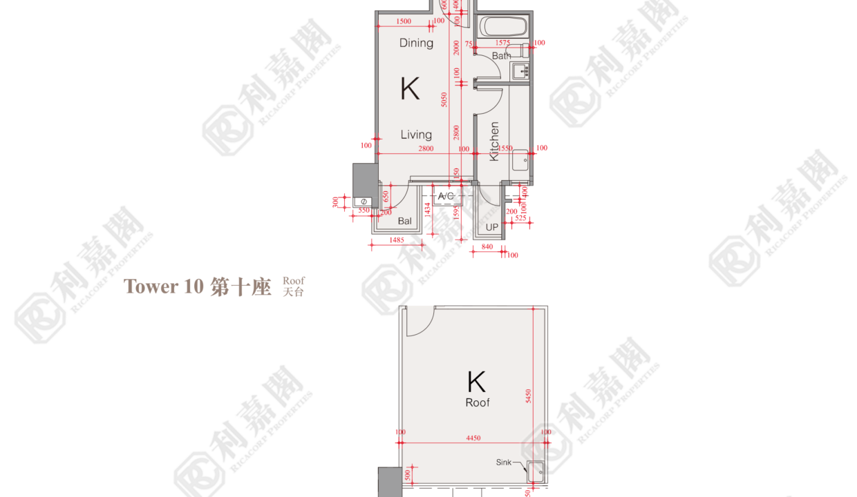 51584_2000_Ricacorp.png