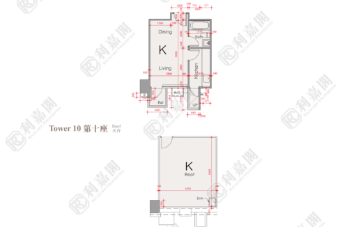 51584_2000_Ricacorp.png
