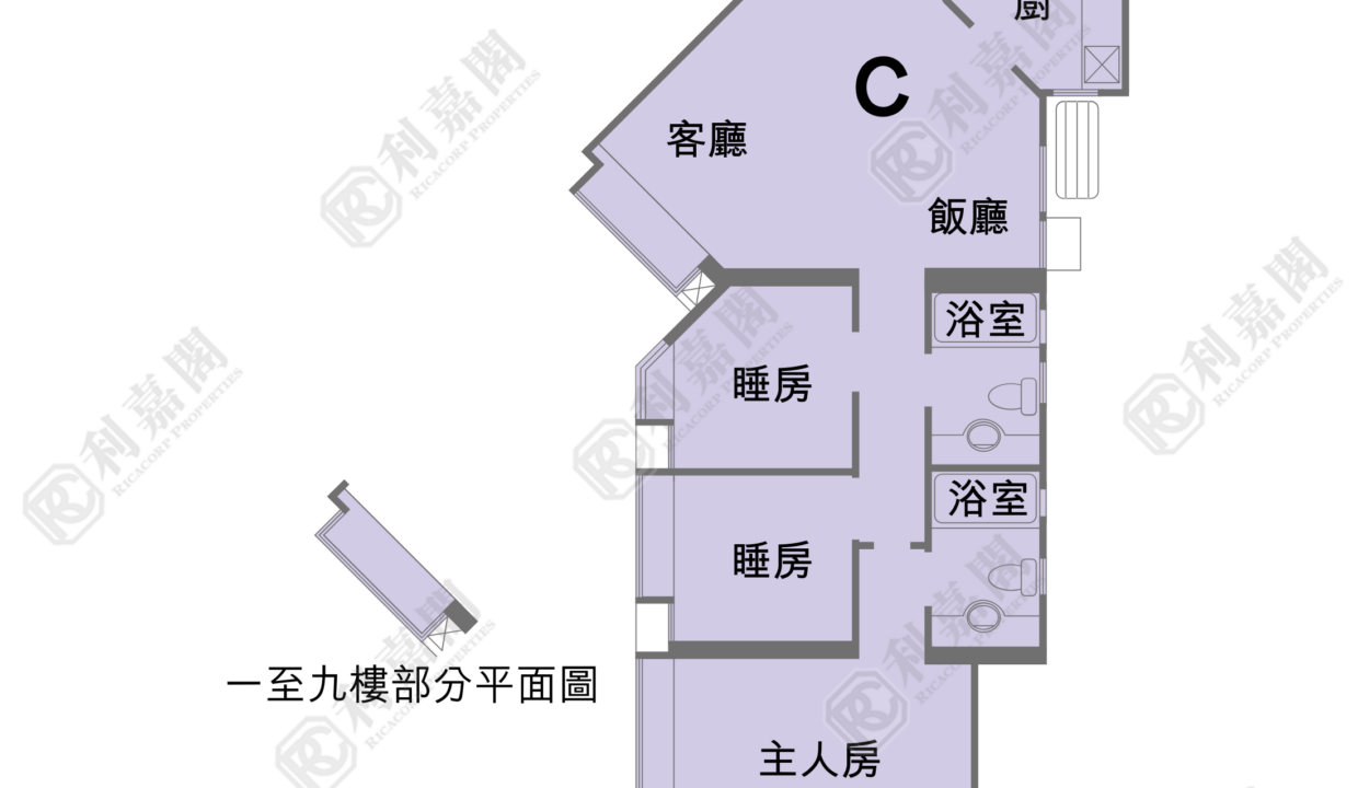 55063_2000_Ricacorp.png