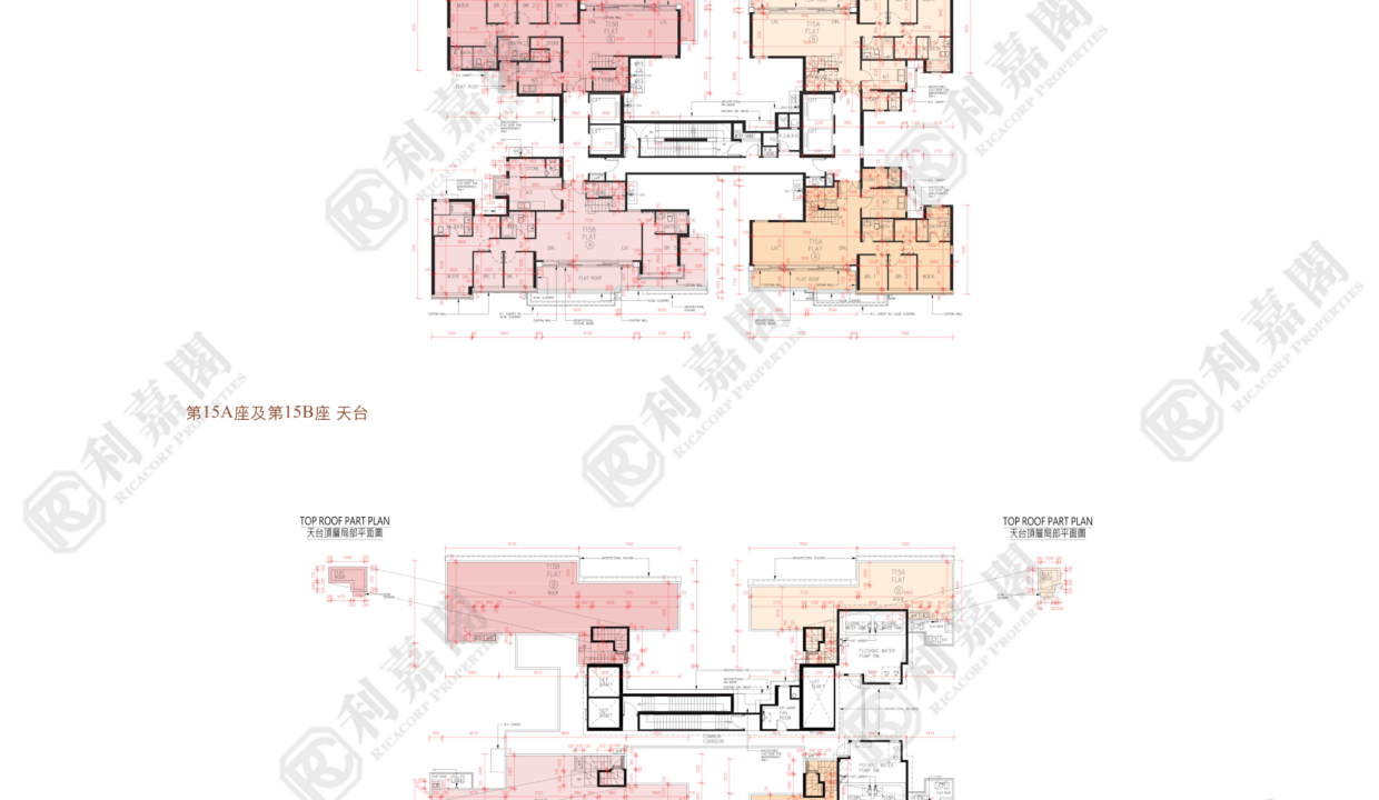 56082_2000_Ricacorp-1.png