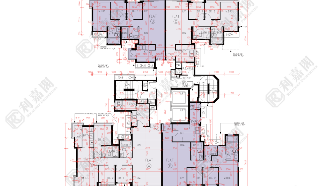 56173_2000_Ricacorp.png