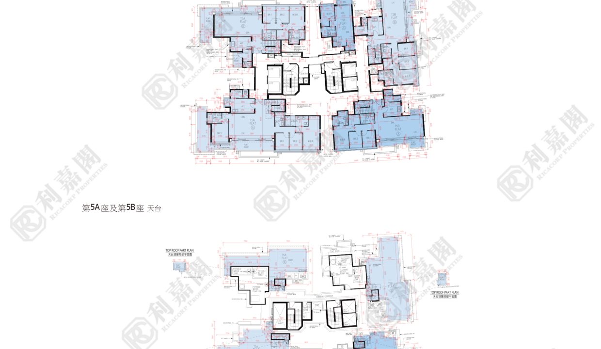 56285_2000_Ricacorp.png