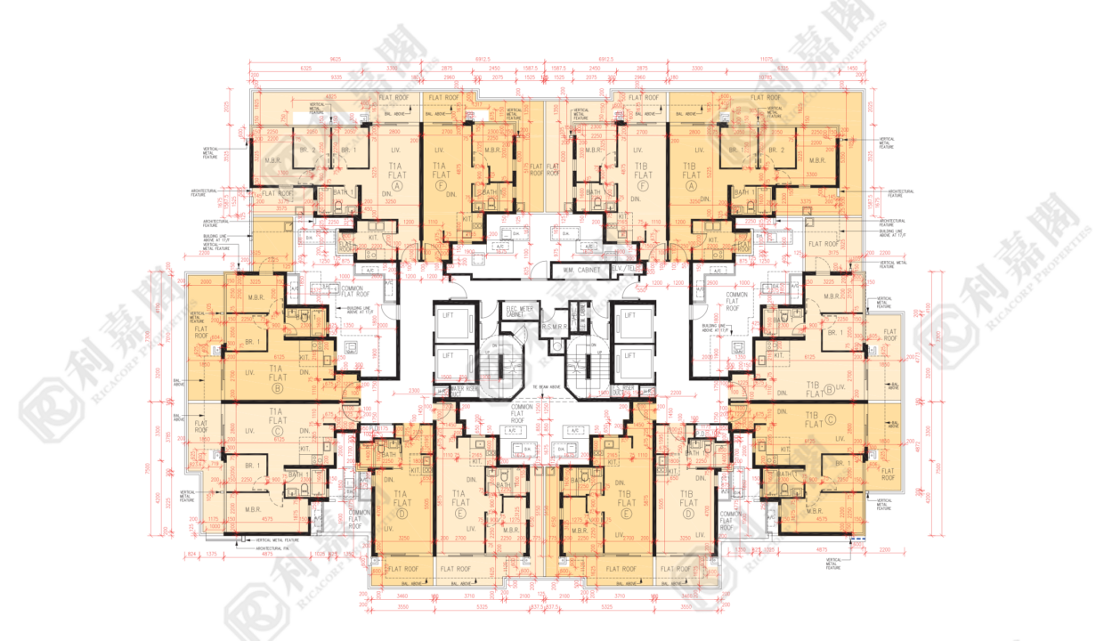 56365_2000_Ricacorp.png