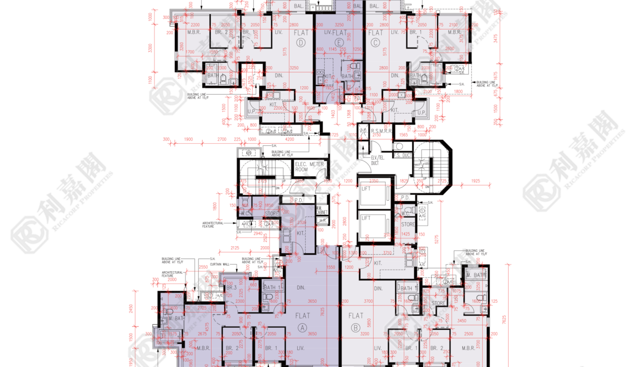 56444_2000_Ricacorp-1.png