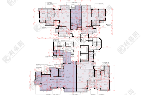 56444_2000_Ricacorp-1.png