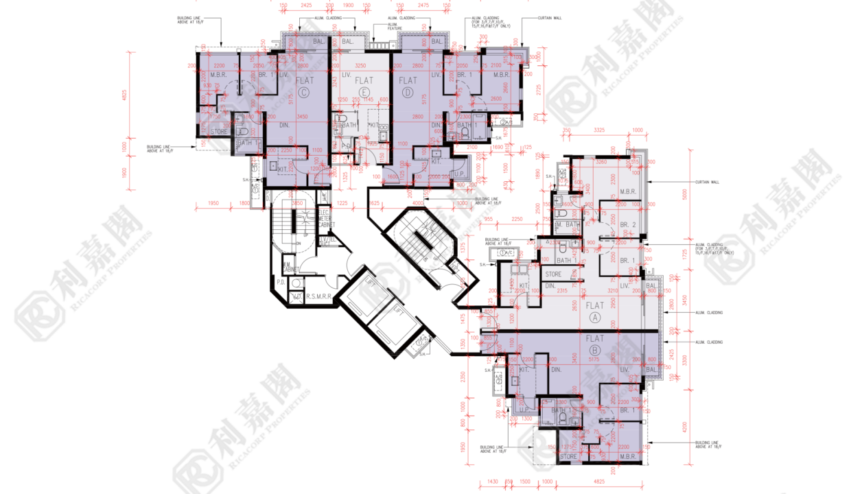 56447_2000_Ricacorp-4.png