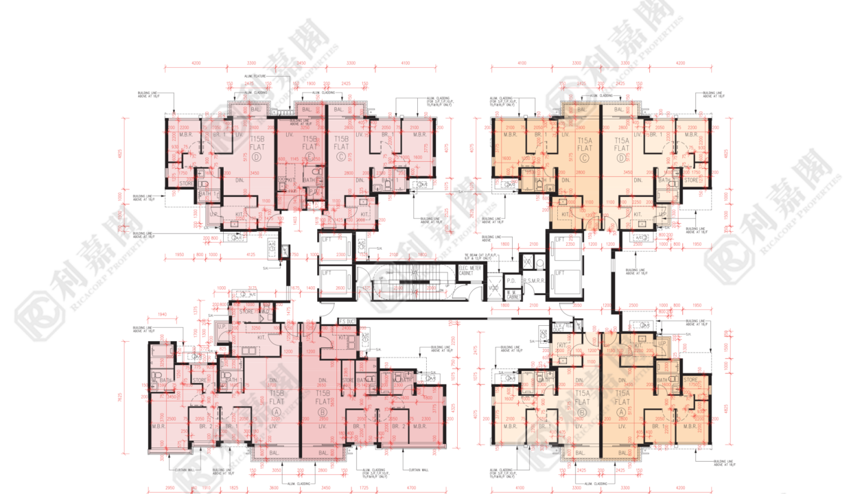 56472_2000_Ricacorp-1.png