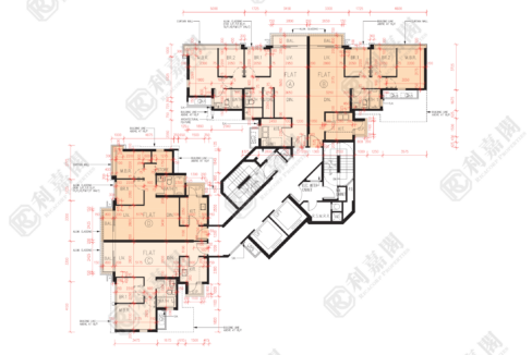 56546_2000_Ricacorp.png