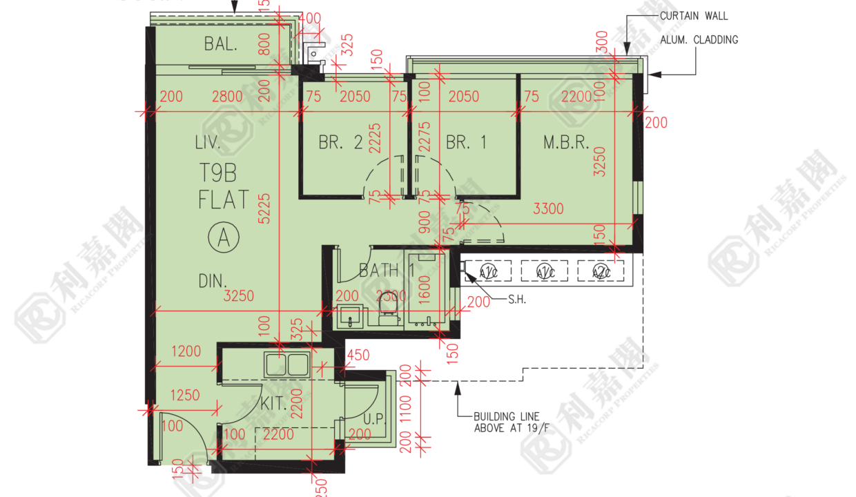 56849_2000_Ricacorp.png