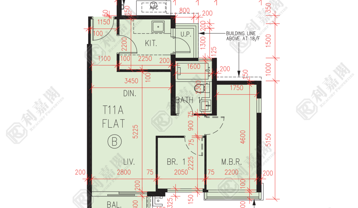 56886_2000_Ricacorp.png