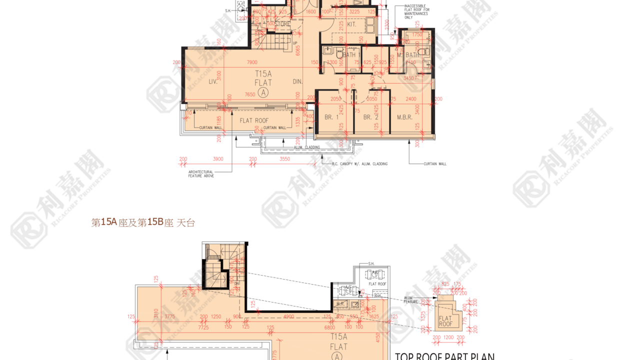 56950_2000_Ricacorp-5.png