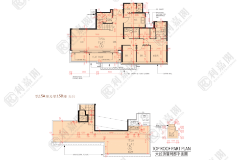 56950_2000_Ricacorp-5.png