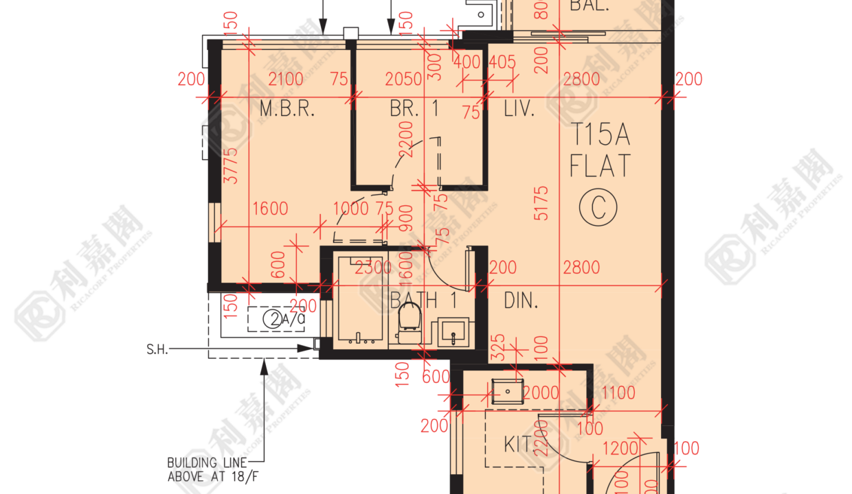 56957_2000_Ricacorp.png