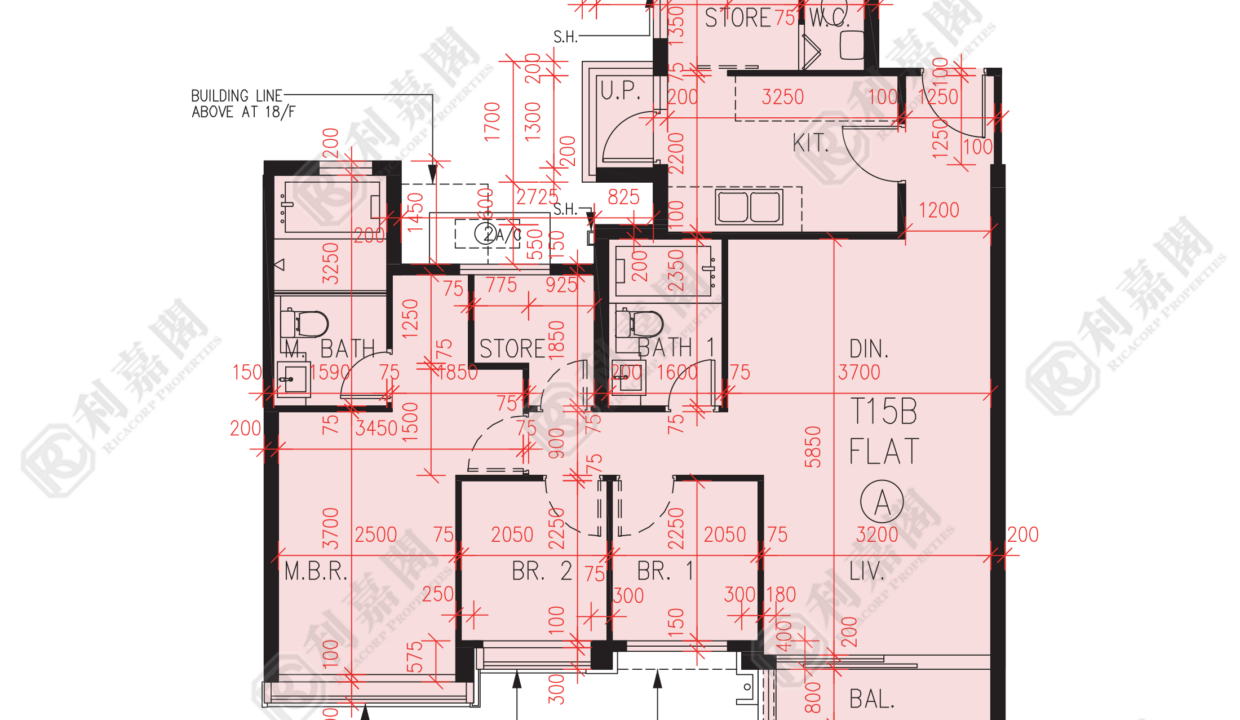56962_2000_Ricacorp.png