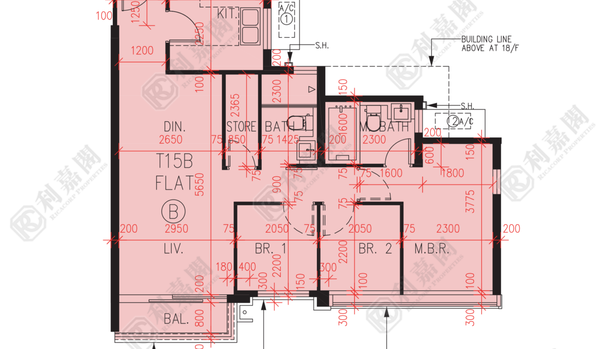 56966_2000_Ricacorp.png