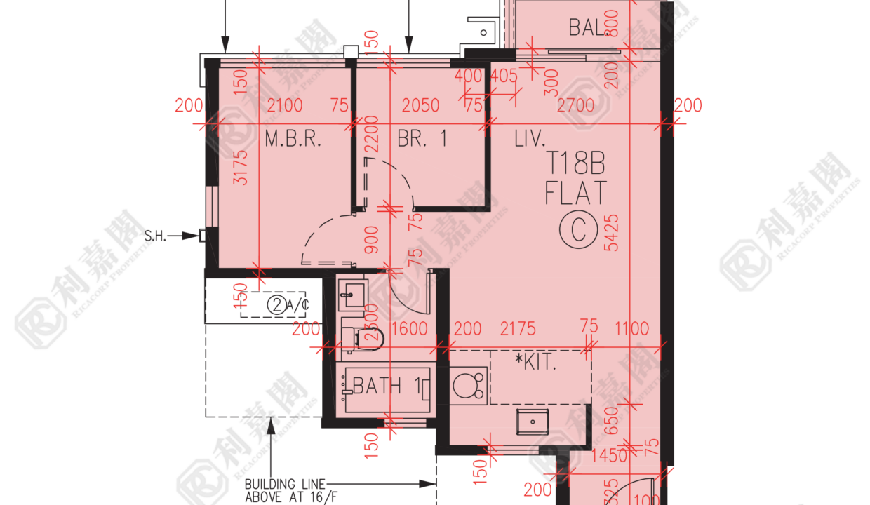 57026_2000_Ricacorp.png