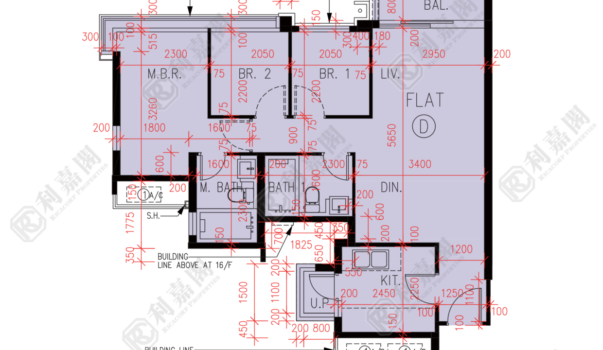 57190_2000_Ricacorp.png