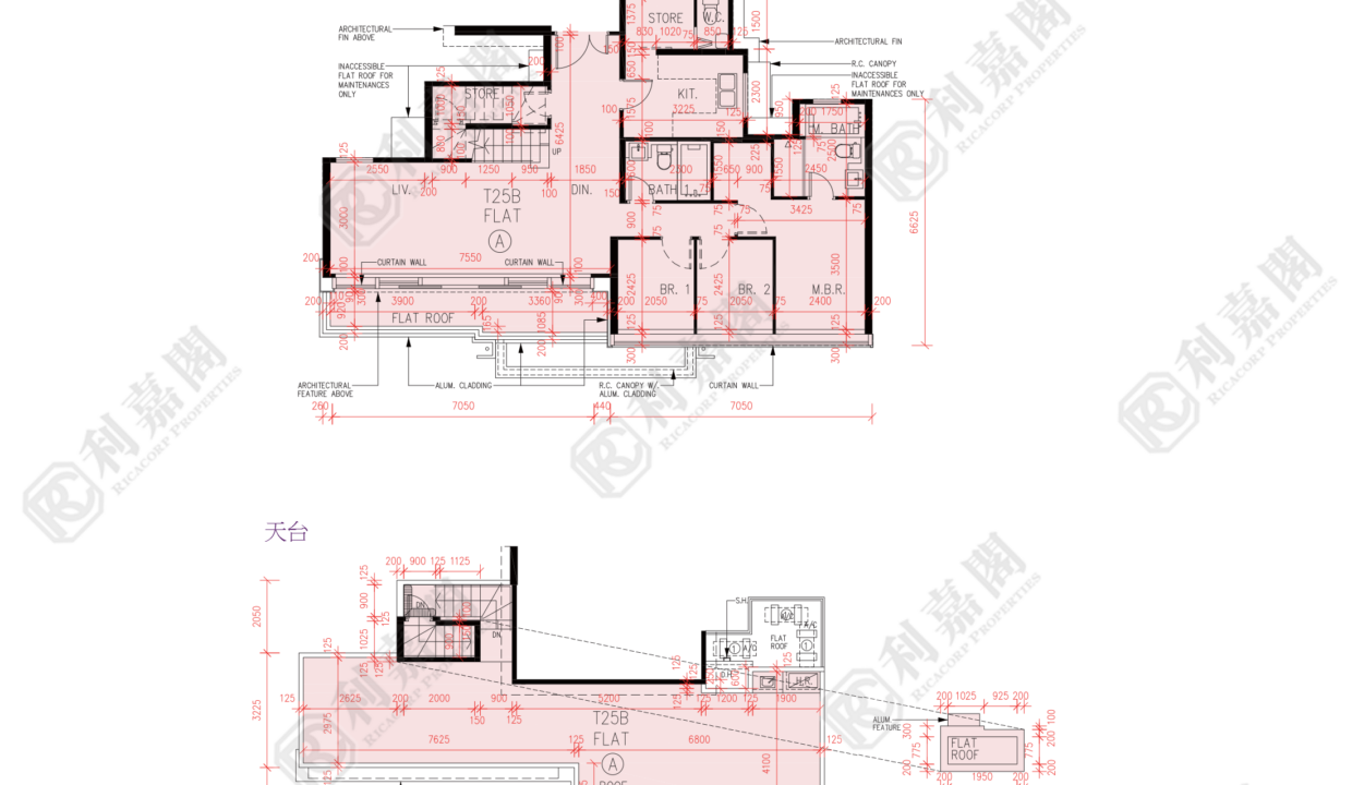 57303_2000_Ricacorp.png