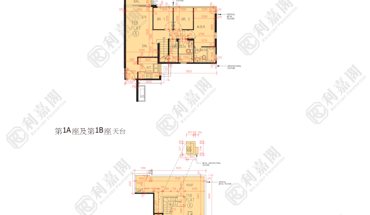 57359_2000_Ricacorp.png