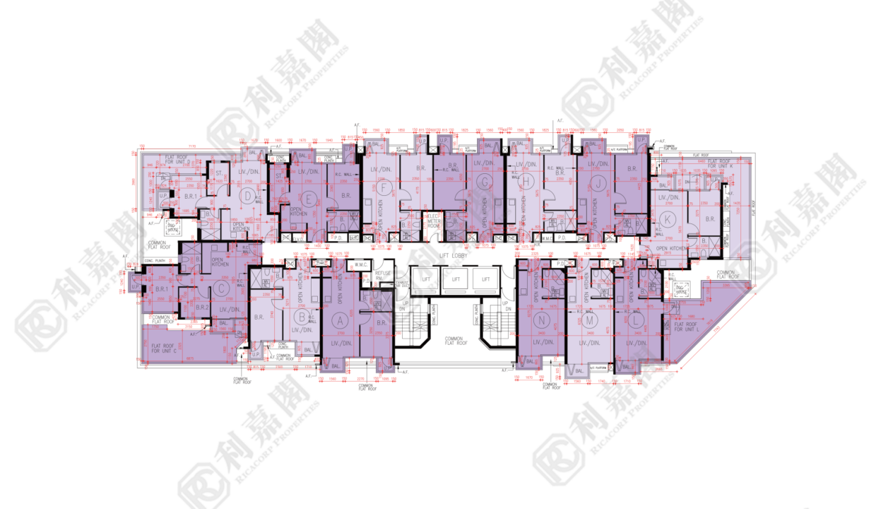 72787_2000_Ricacorp.png