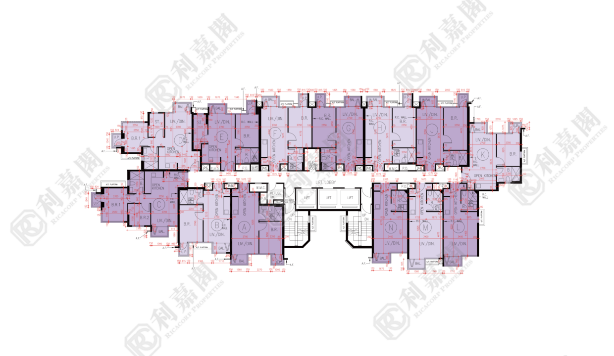 72788_2000_Ricacorp-3.png
