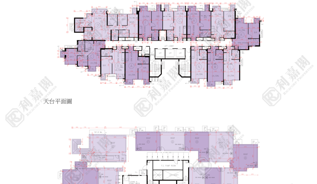 72789_2000_Ricacorp.png
