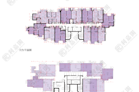 72789_2000_Ricacorp.png