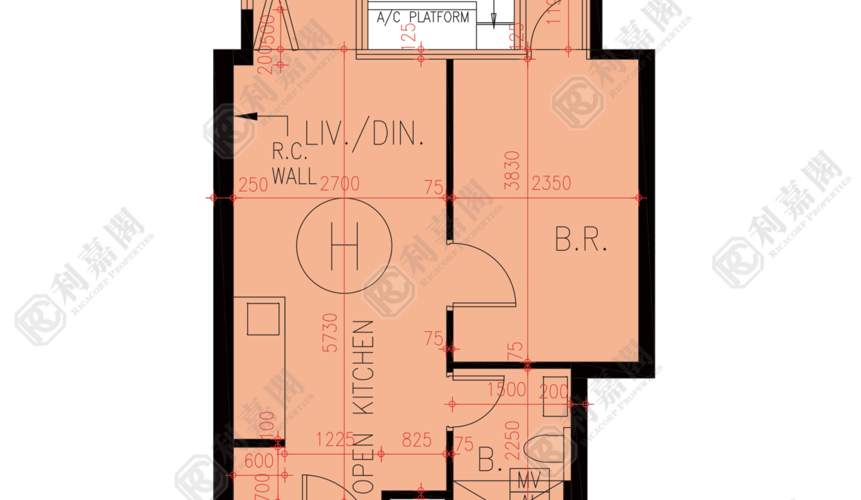 72968_2000_Ricacorp.png