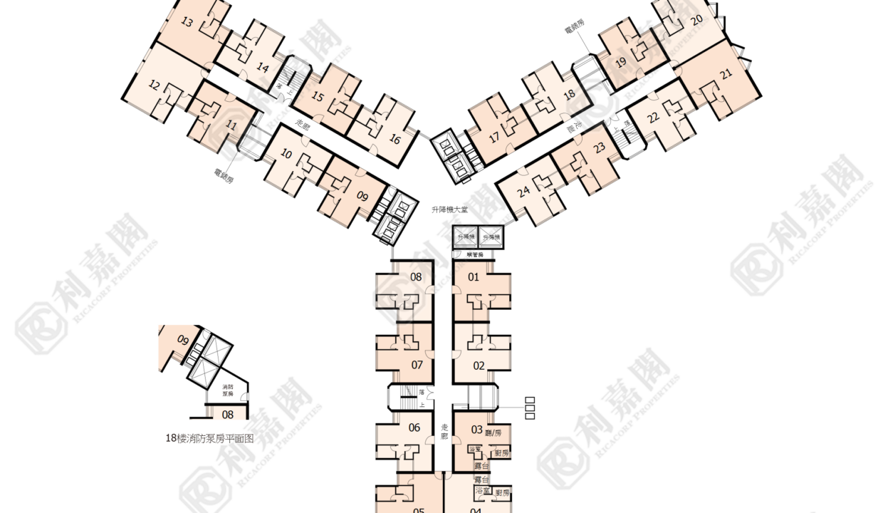 74208_2000_Ricacorp-1.png