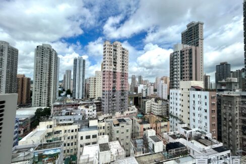 748ef57e-5800-422e-ac6a-cbd076dd7ca2.jpeg