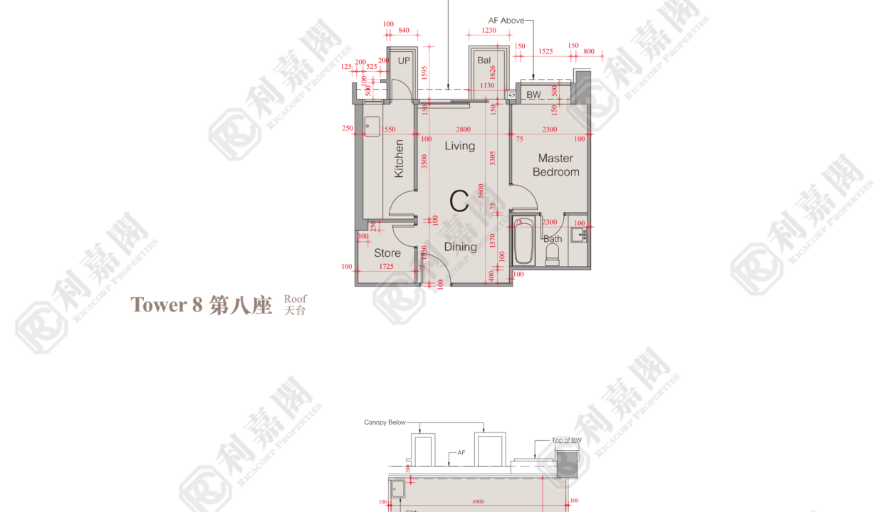 75260_2000_Ricacorp.png